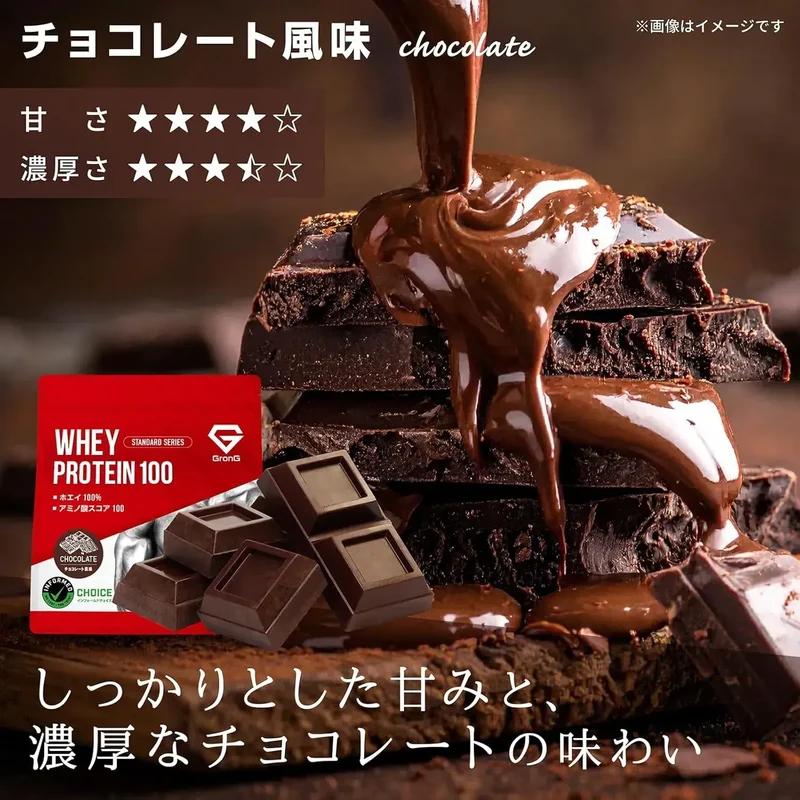 GronG Whey Protein Standard Chocolate with Vitamins Powder