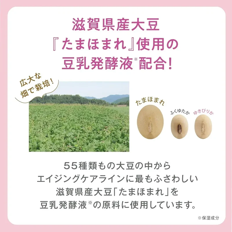 Nameraka Honpo Medicated WR Cleansing Cream Retinol Soy 130g