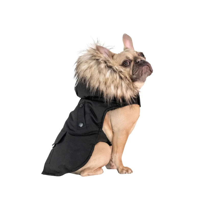 NOIZE - Parka pour Chien
