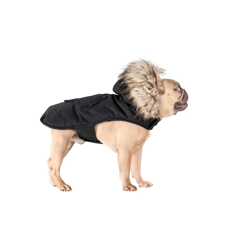 NOIZE - Parka pour Chien