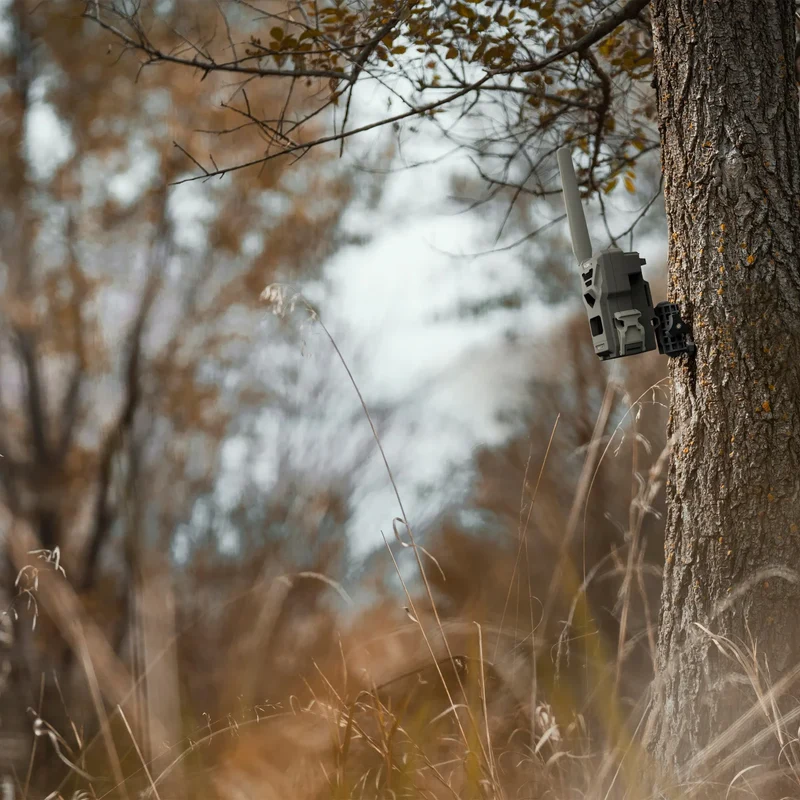 SPYPOINT - Caméra de Chasse Ensemble Élite Flex G-36
