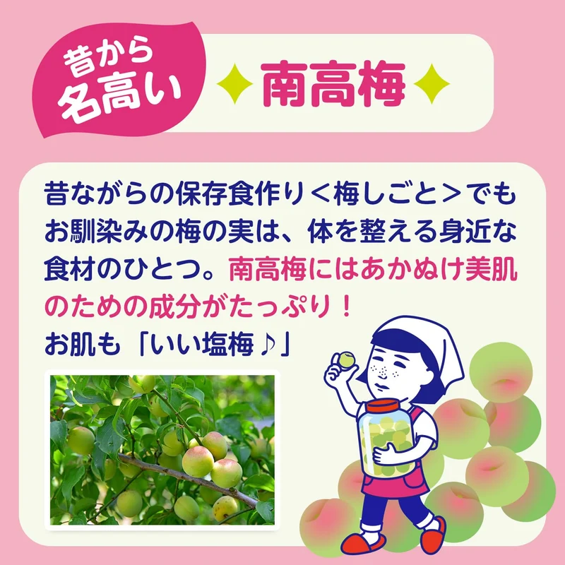 Keana Nadeshiko Kishu Nanko Plum x Baking Soda Foam Cleanser 100g