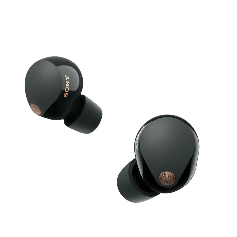 SONY - Écouteurs Sans Fil WF-1000XM5