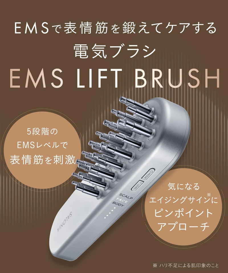 SALONIA EMS Lift Brush Silver SAL22206SL DC3.7V