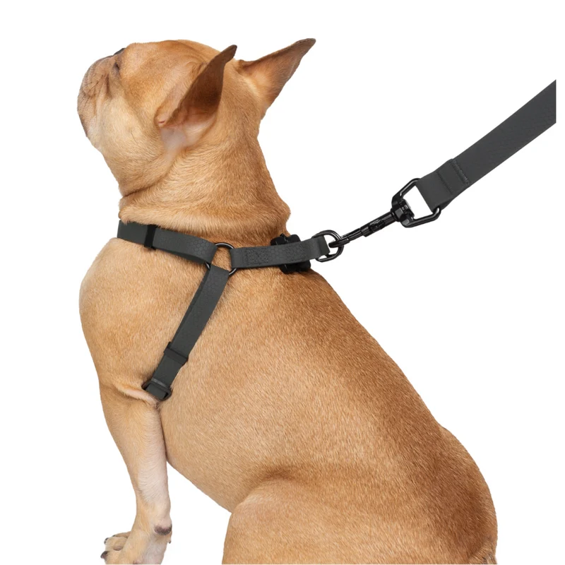 SOUTHPAW - Ensemble de Marche en Silicone