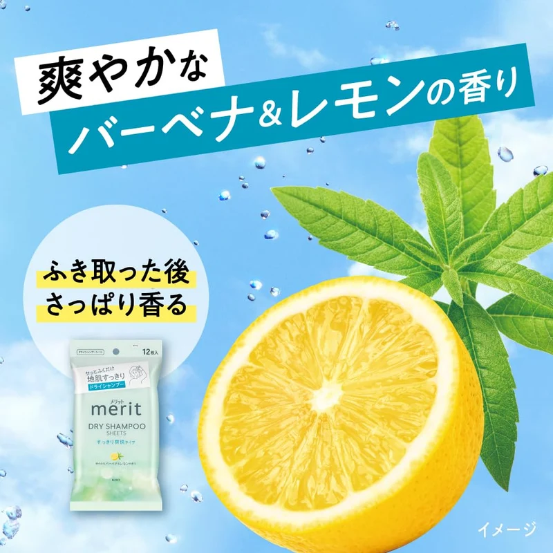 Merit Dry Shampoo Sheets Refreshing Type 20 Sheets