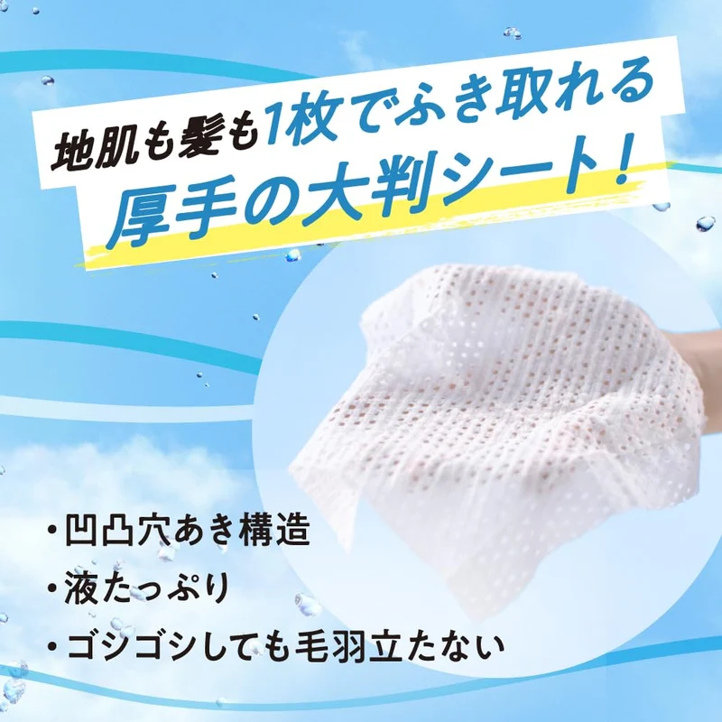 Merit Dry Shampoo Sheets Refreshing Type 20 Sheets