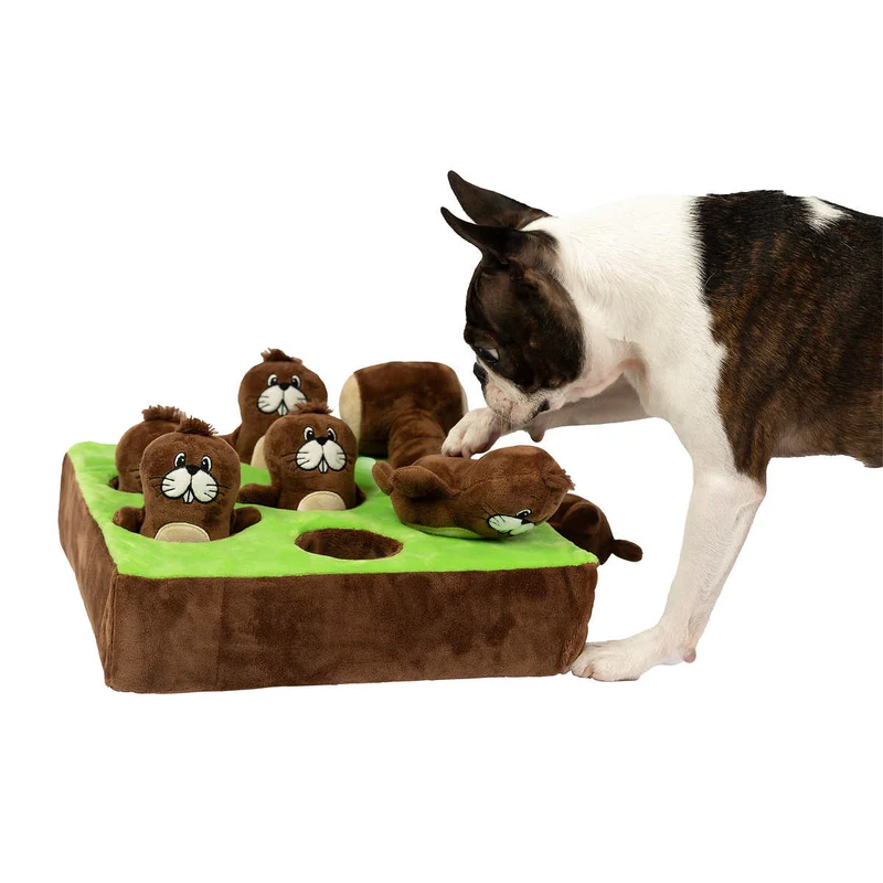 SOUTHPAW - Jeu Interactif pour Chien Bark A Mole