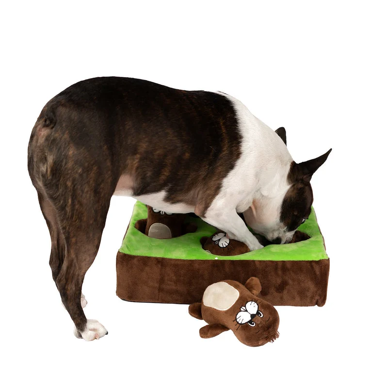 SOUTHPAW - Jeu Interactif pour Chien Bark A Mole