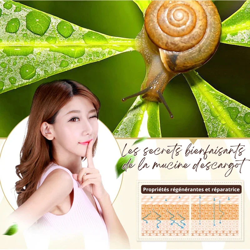 Crème pour le Visage au Collagène & Bave d'Escargot - Sérum Yeux OFFERT
