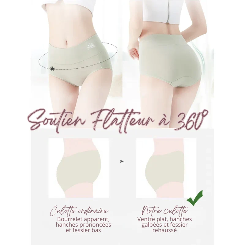 Lot de 5 Culottes Taille en Coton - Ventre Plat & Push-up Fessier