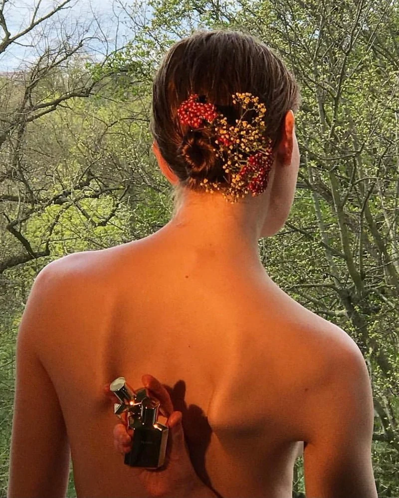 Érose