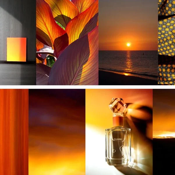 Ambre Nomade Extrait de Parfum