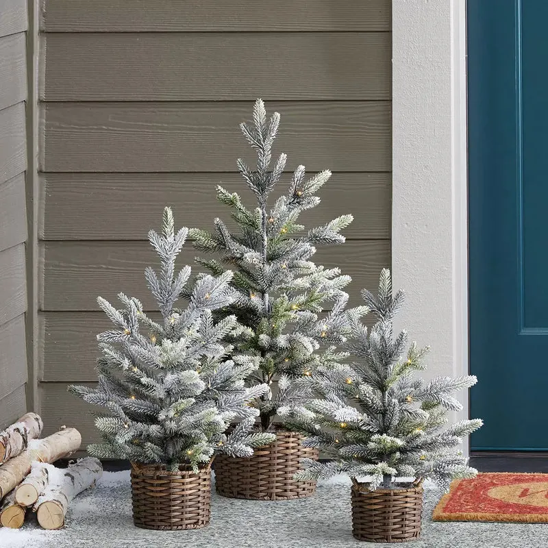 Ensemble de 3 Arbres Floqués