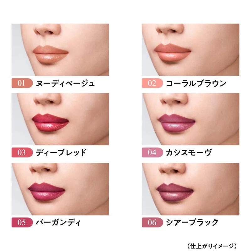 COSME DECORTÉ Coffret Dor Contour Lip Duo Sheer Black 06 Lipstick