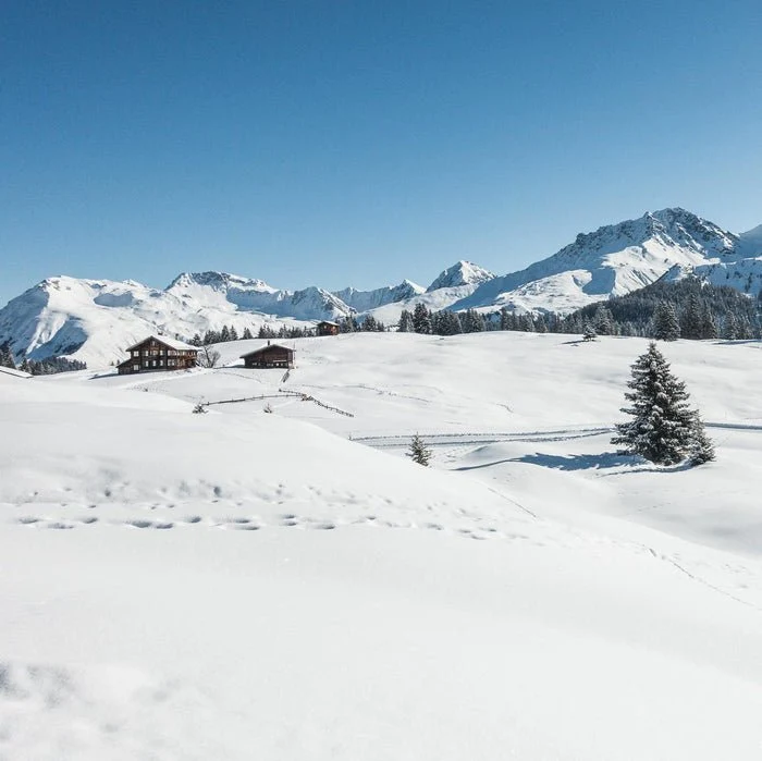 We Love Arosa 90 g