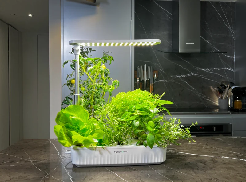 VEGEHOME - Jardin d'Intérieur avec Ensemble de Démarrage Jardin Pro