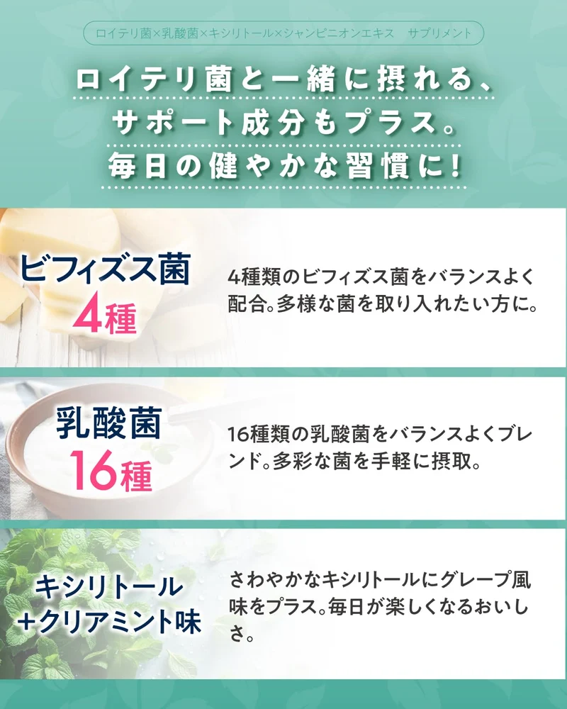 Asahi Group Foods Bifilal Supplement with 36B L Reuteri Probiotics Mint 30-Day